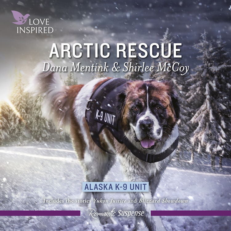 Cover image for Arctic Rescue, isbn: 9781038907301
