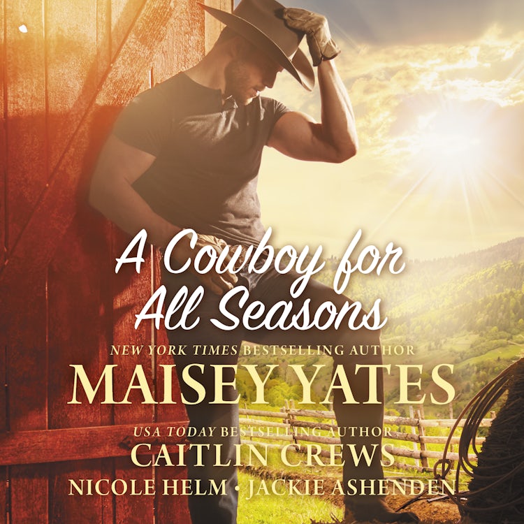Cover image for A Cowboy For All Seasons, isbn: 9781038907325