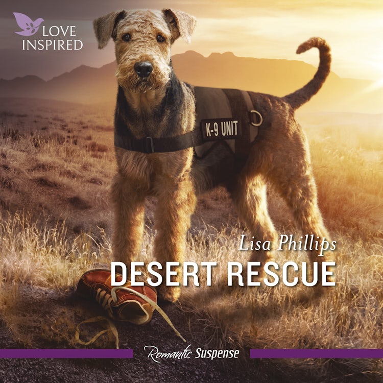 Cover image for Desert Rescue, isbn: 9781038907349