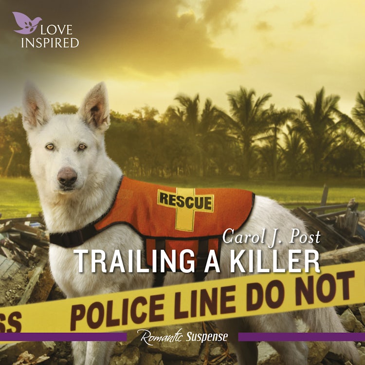 Cover image for Trailing A Killer, isbn: 9781038907356