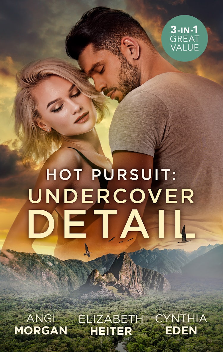 Cover image for Hot Pursuit: Undercover Detail/Criminal Alliance/Secret Agent Surrender/Alpha One, isbn: 9781038907400