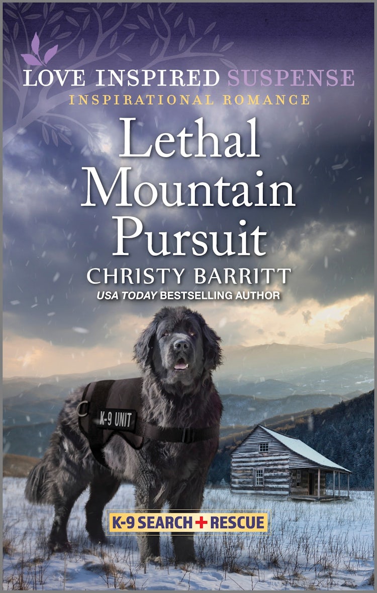 Cover image for Lethal Mountain Pursuit, isbn: 9781038907882