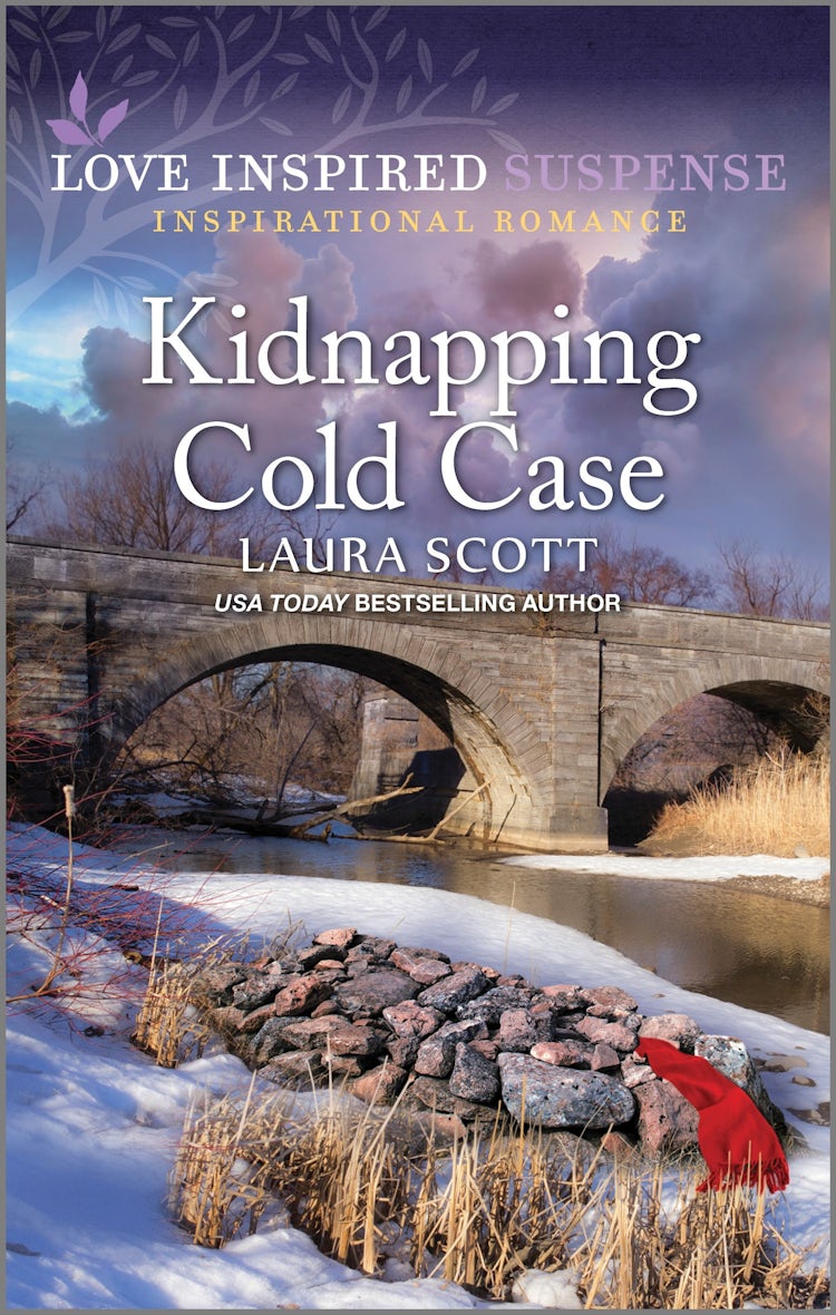 Cover image for Kidnapping Cold Case, isbn: 9781038907899