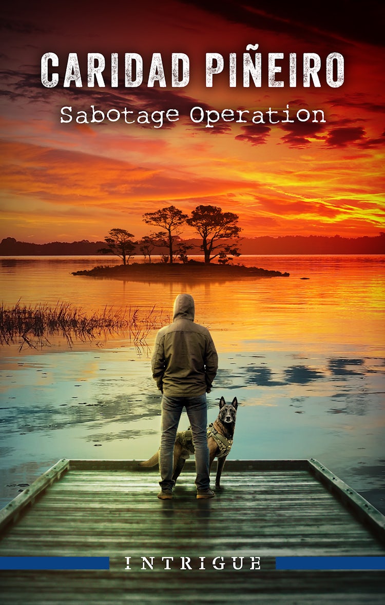Cover image for Sabotage Operation, isbn: 9781038911681