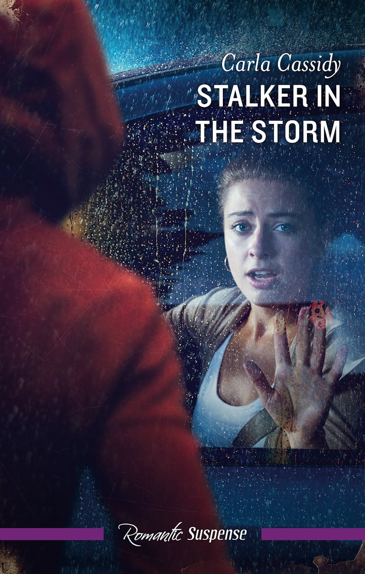 Cover image for Stalker In The Storm, isbn: 9781038911797
