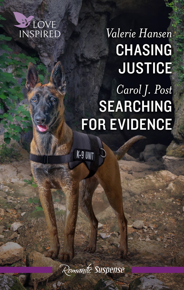 Cover image for Chasing Justice/Searching For Evidence, isbn: 9781038911827