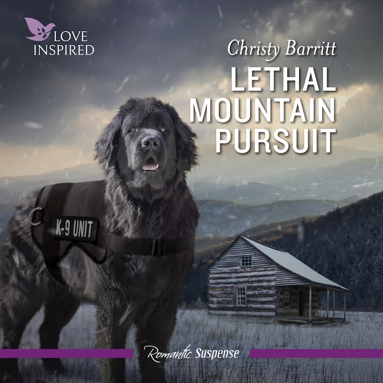 Cover image for Lethal Mountain Pursuit, isbn: 9781038912442
