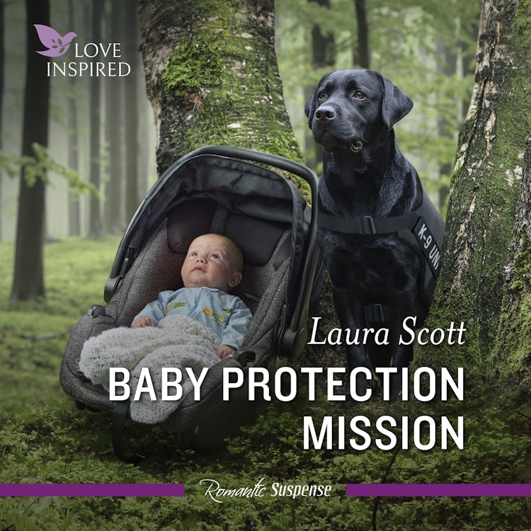 Cover image for Baby Protection Mission, isbn: 9781038912701
