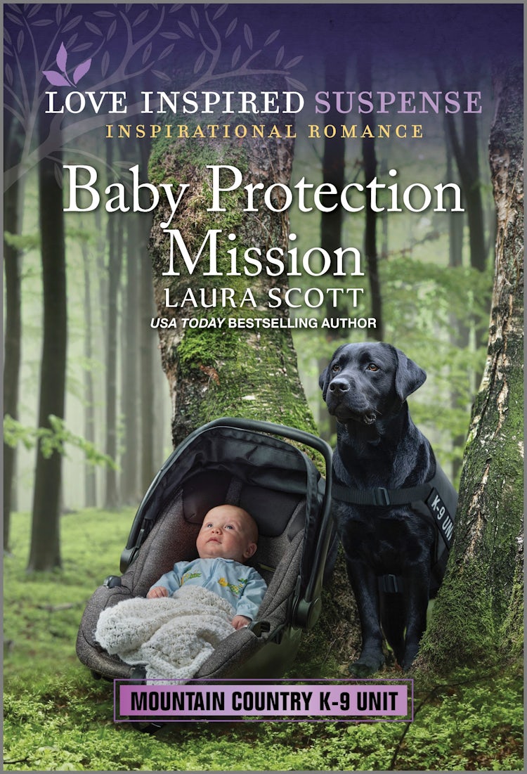 Cover image for Baby Protection Mission, isbn: 9781038912831