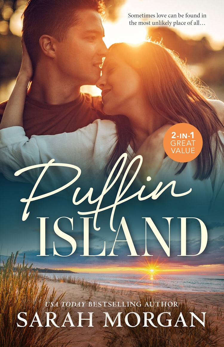 Cover image for Puffin Island/First Time In Forever/Playing By The Rules, isbn: 9781038914958