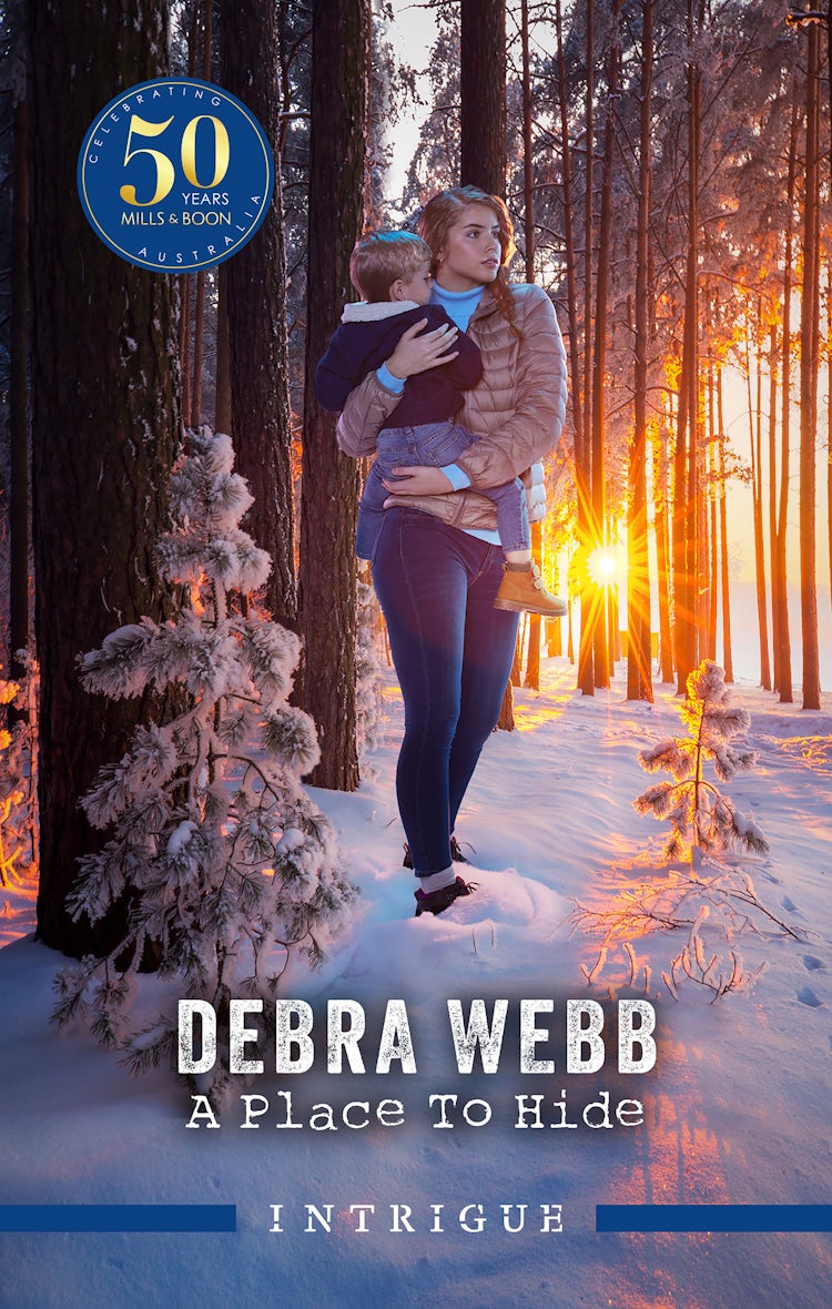 Cover image for A Place to Hide [Large Print], isbn: 9781038915207