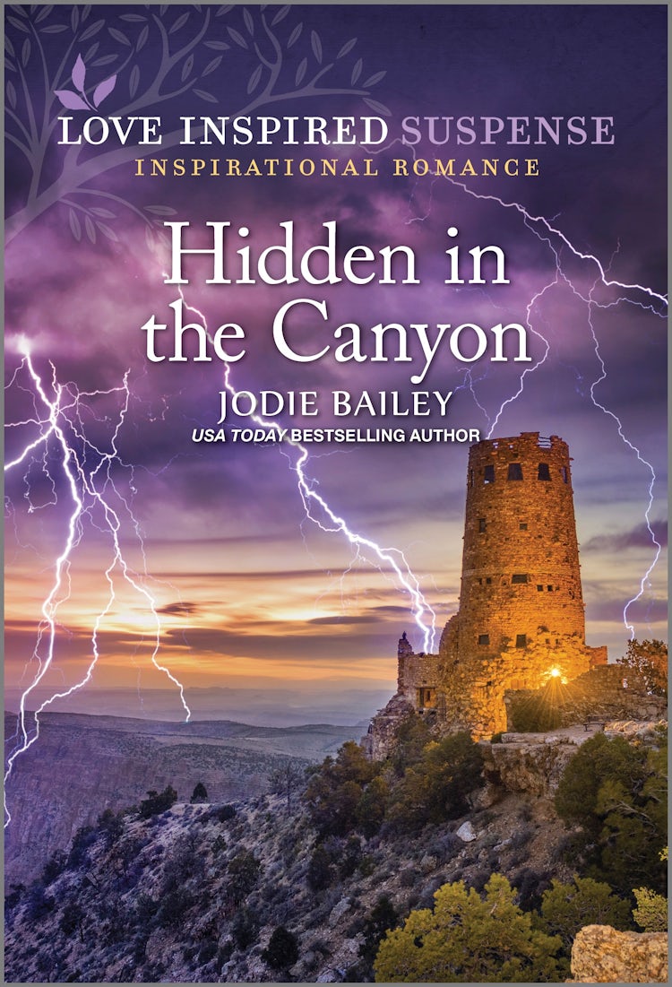 Cover image for Hidden In The Canyon, isbn: 9781038915375
