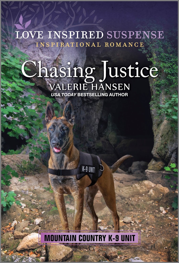 Cover image for Chasing Justice, isbn: 9781038915634