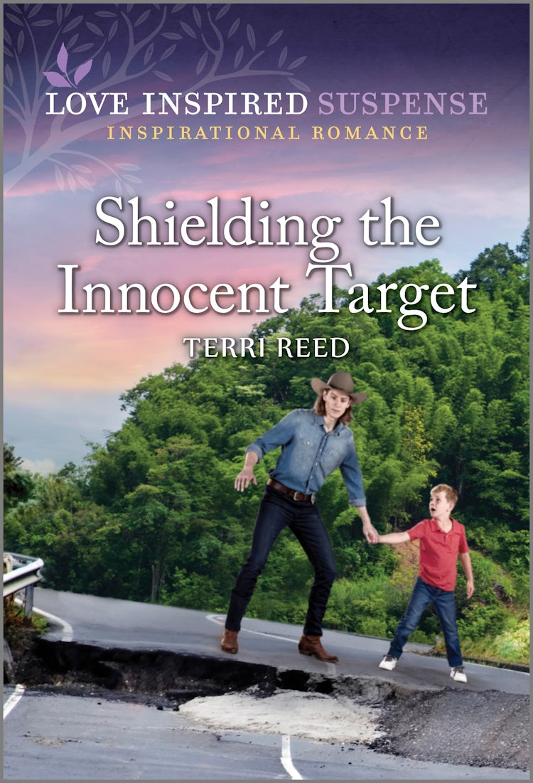 Cover image for Shielding The Innocent Target, isbn: 9781038915658