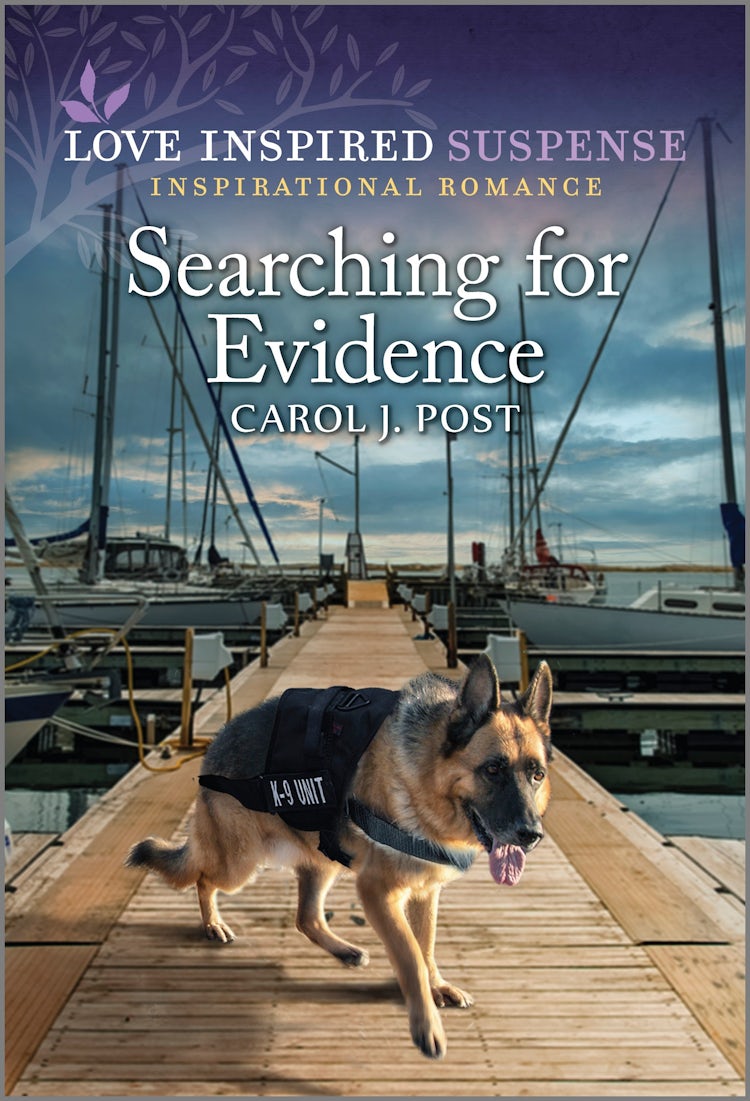 Cover image for Searching For Evidence, isbn: 9781038915672