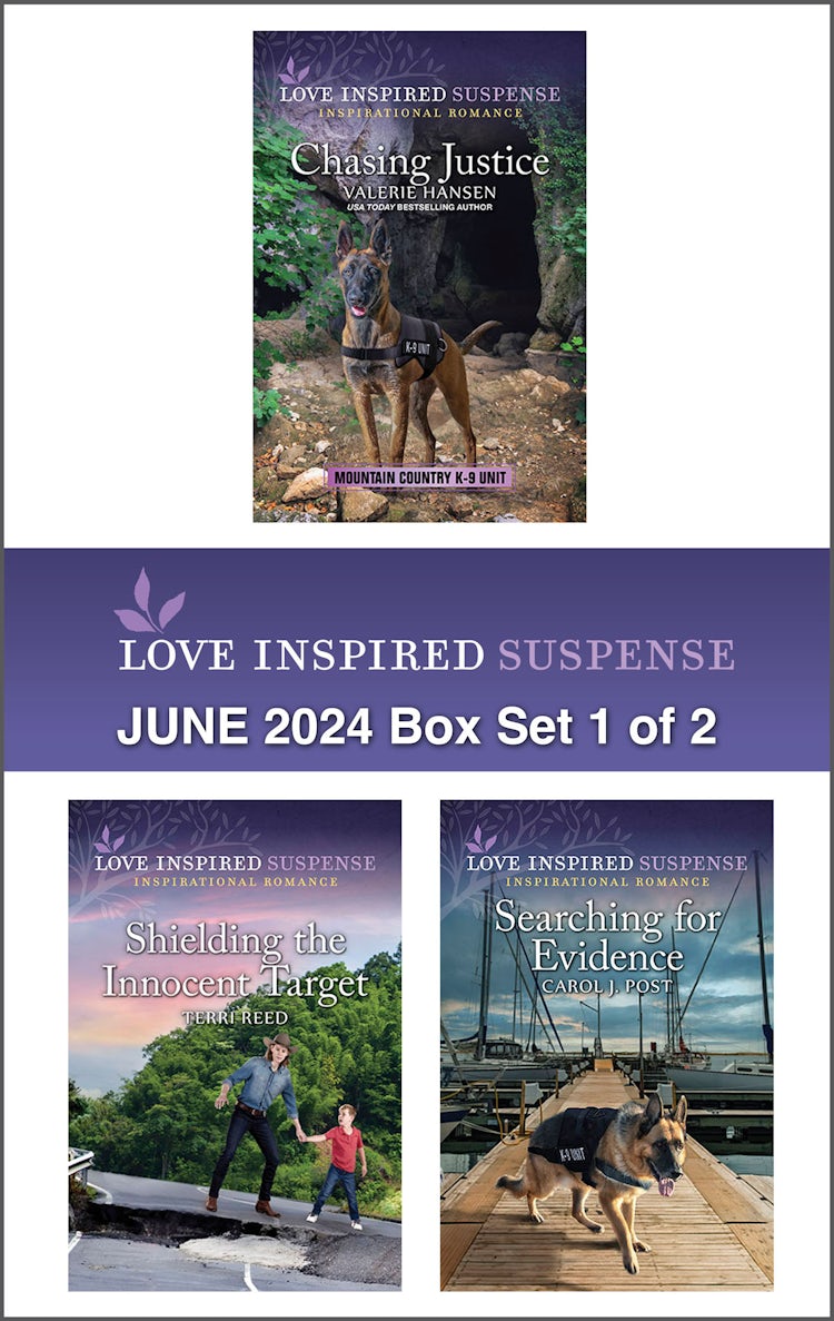 Cover image for Love Inspired Suspense June 2024 - Box Set 1 of 2/Chasing Justice/Shielding The Innocent Target/Searching For Evidence, isbn: 9781038915696