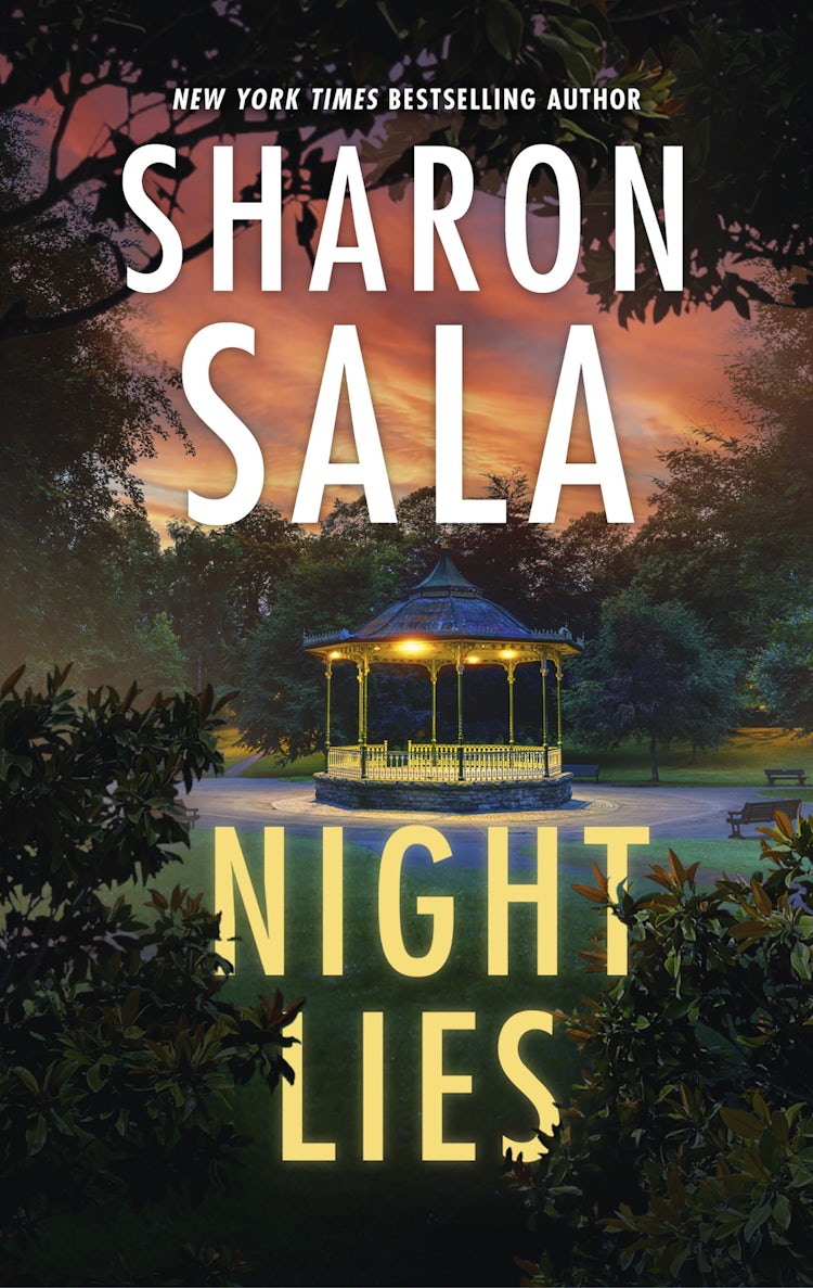 Cover image for Night Lies, isbn: 9781038916204