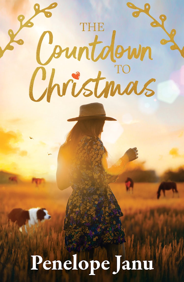 Cover image for The Countdown to Christmas: An opposites attract small-town holiday novella from an award-winning Australian author., isbn: 9781038918444