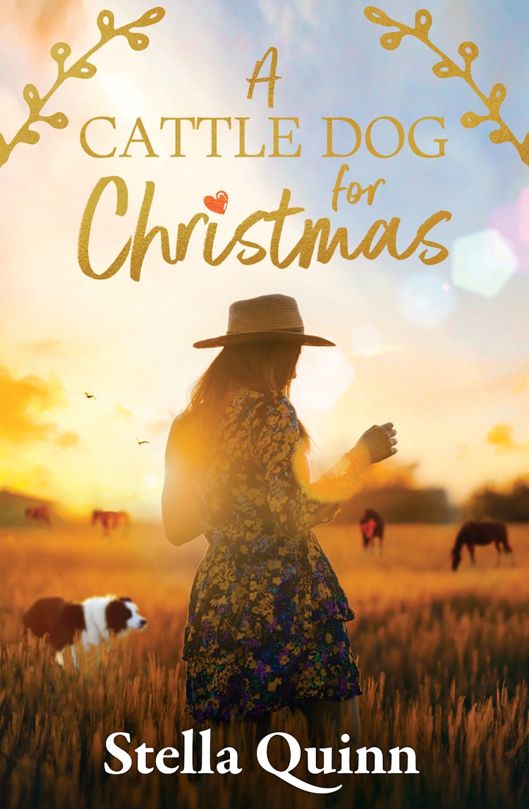 Cover image for A Cattle Dog for Christmas: a small-town Hanrahan novella, award runner-up for 2023's ARRA Favourite Short Romance, new from bestselling author of THE VET FROM SNOWY RIVER and A SNOWY RIVER SUMMER, isbn: 9781038918451
