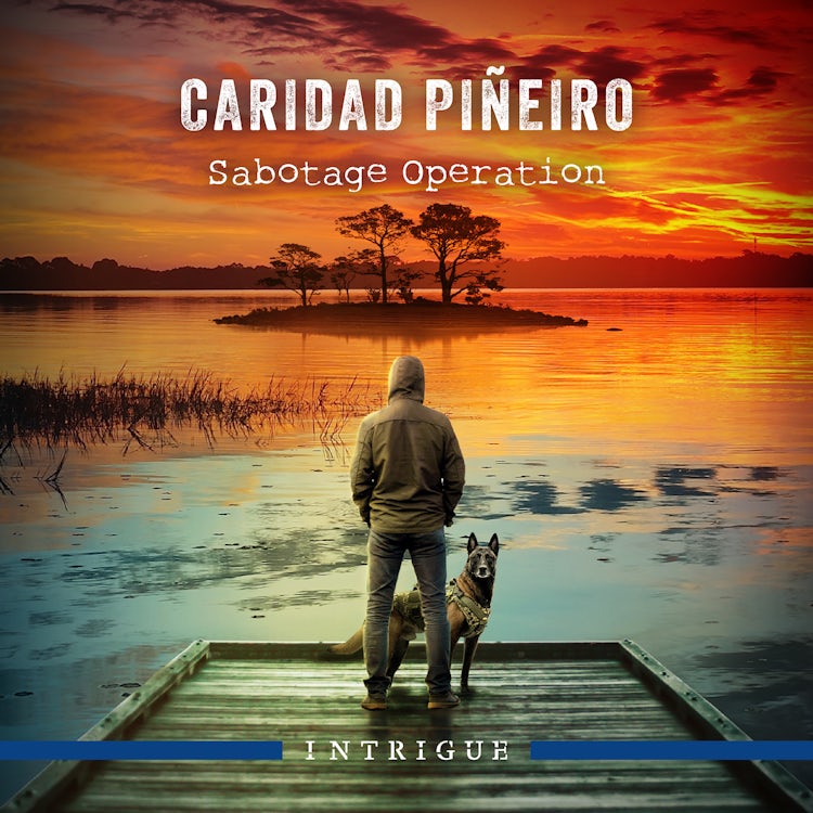 Cover image for Sabotage Operation, isbn: 9781038918512