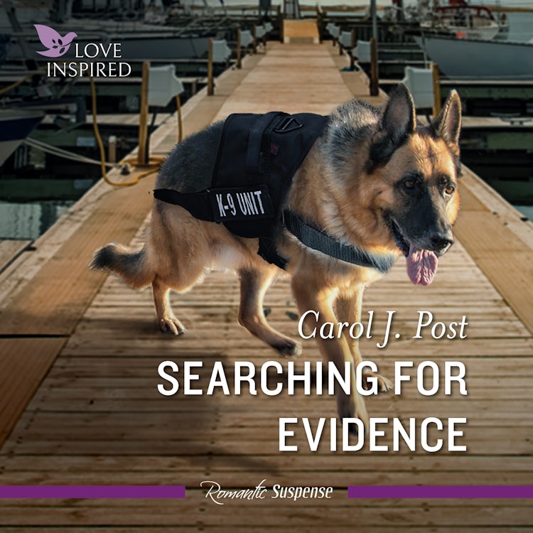 Cover image for Searching For Evidence, isbn: 9781038918529