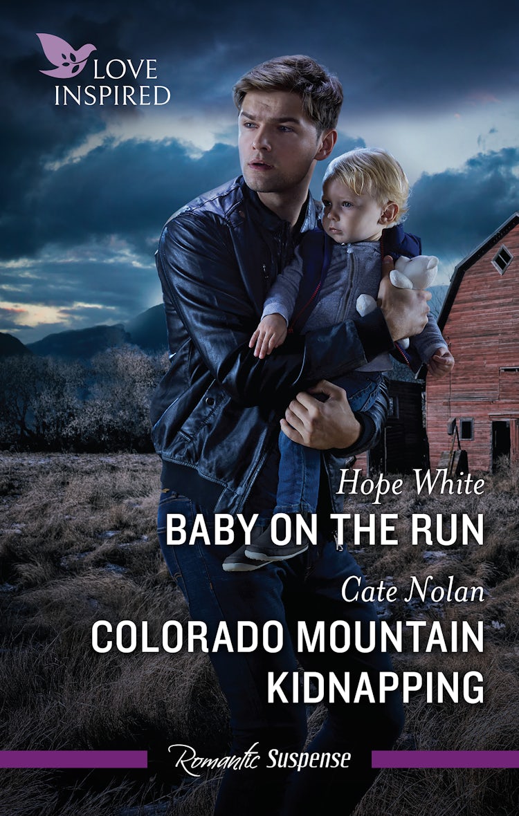 Cover image for Baby On The Run/Colorado Mountain Kidnapping, isbn: 9781038919588