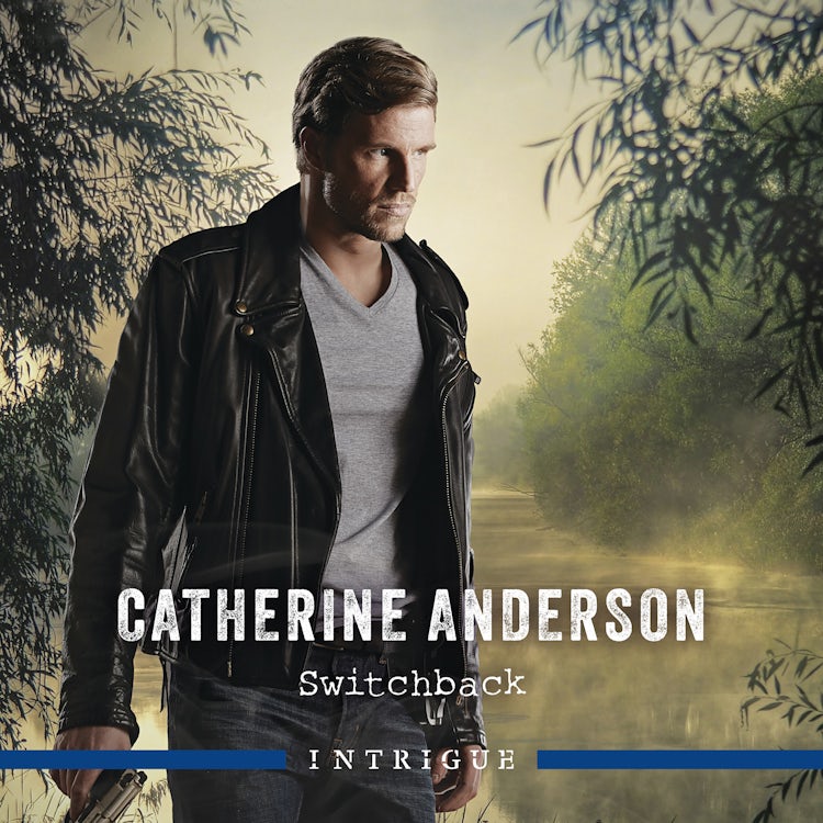 Cover image for Switchback, isbn: 9781038920003