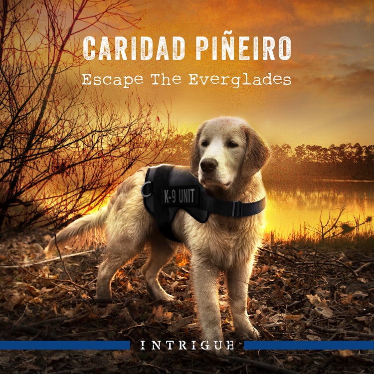 Cover image for Escape The Everglades, isbn: 9781038920089