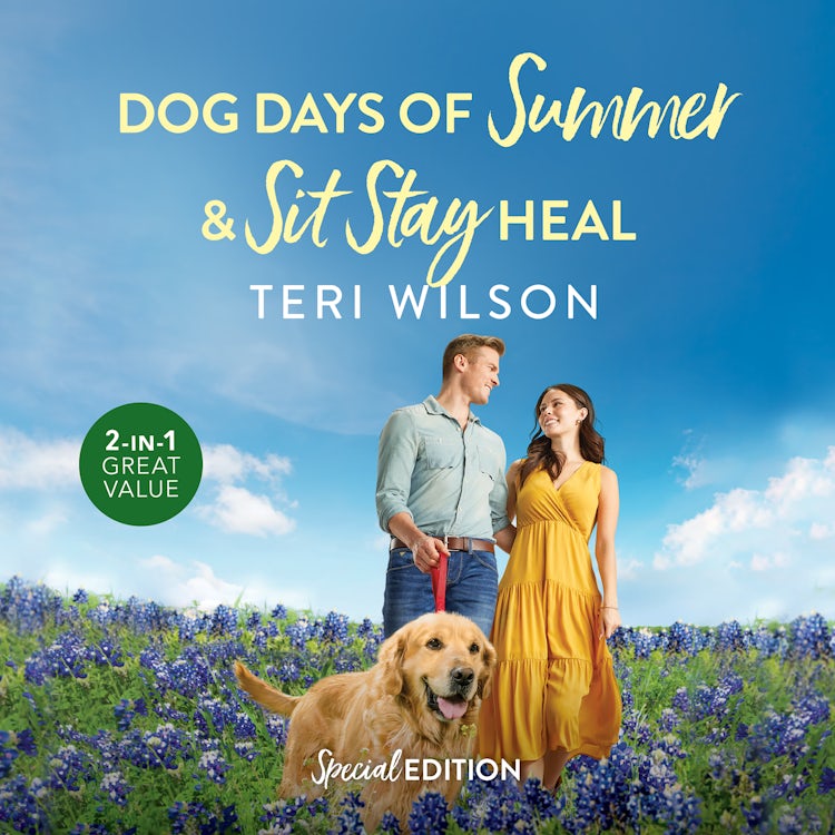 Cover image for Dog Days Of Summer/Sit Stay Heal, isbn: 9781038920096