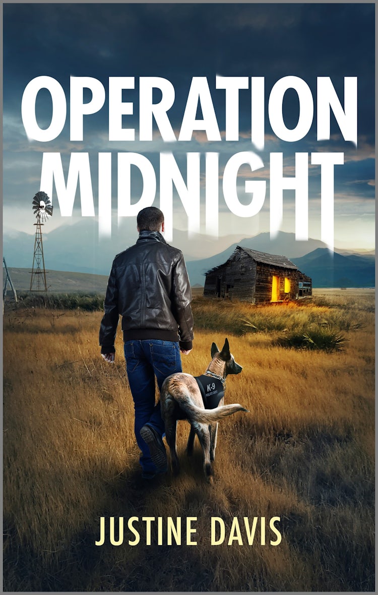 Cover image for Operation Midnight, isbn: 9781038921215