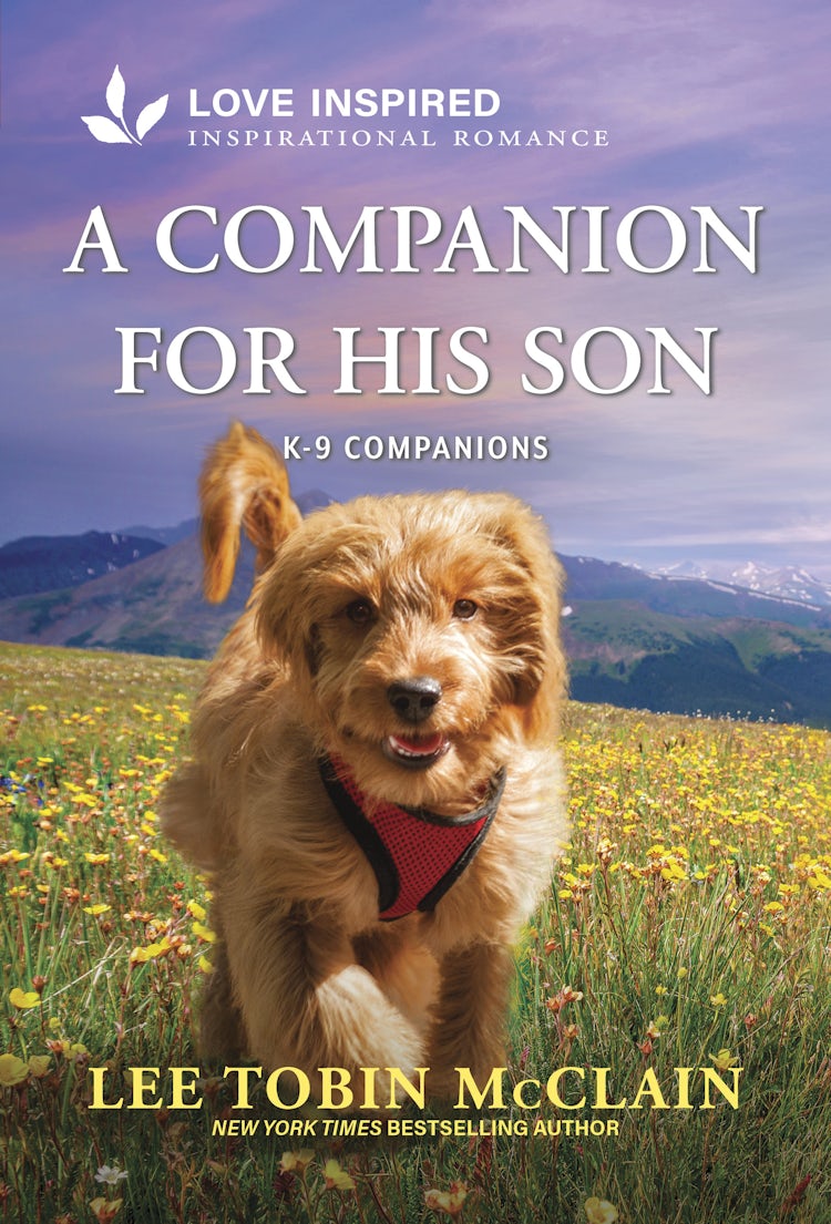 Cover image for A Companion For His Son, isbn: 9781038922076