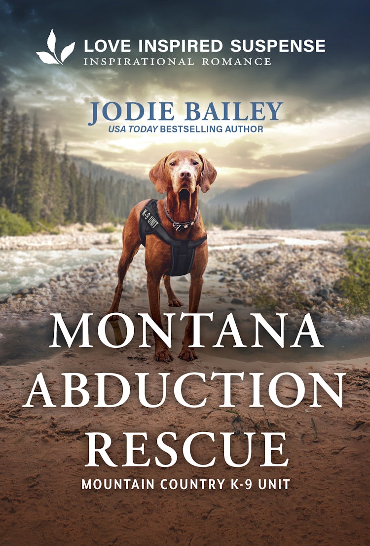 Cover image for Montana Abduction Rescue, isbn: 9781038922137