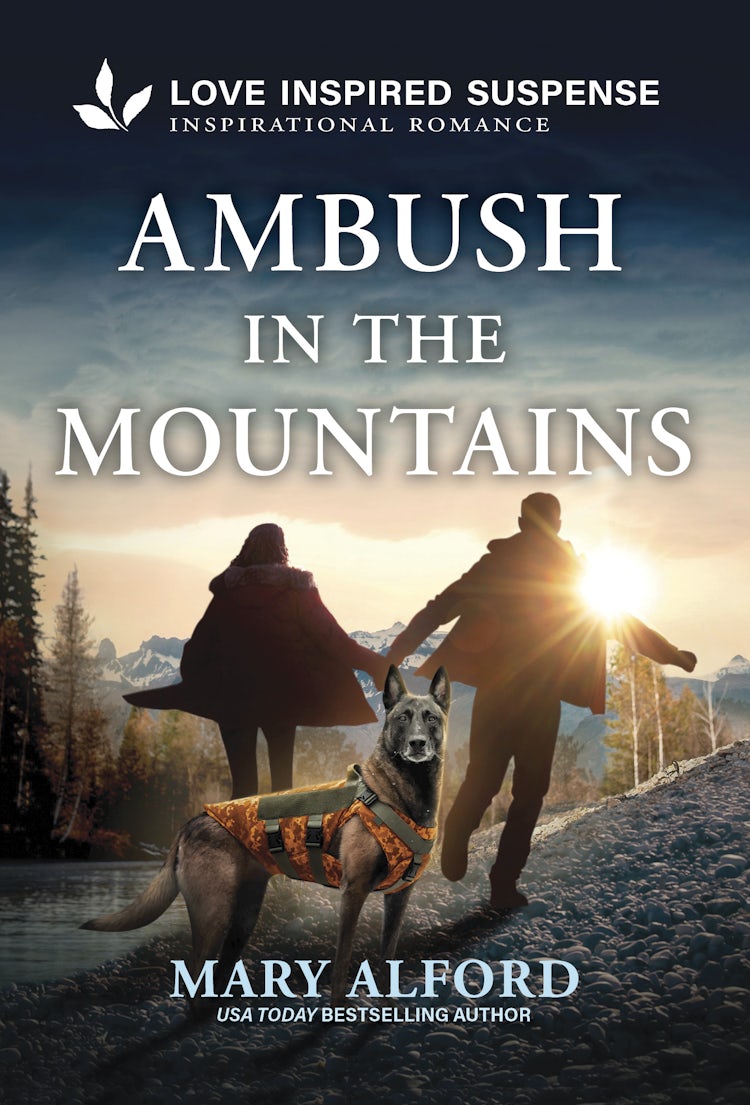 Cover image for Ambush In The Mountains, isbn: 9781038922151