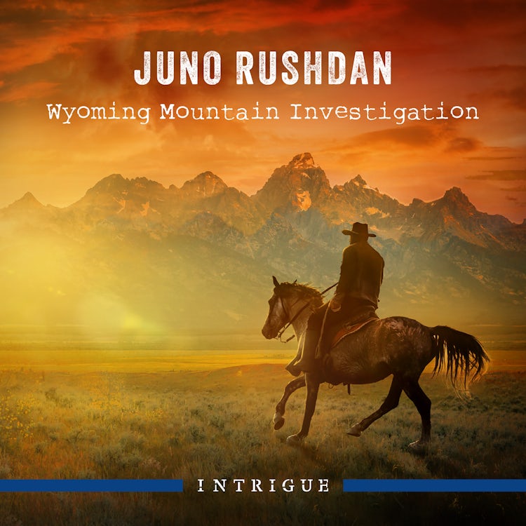 Cover image for Wyoming Mountain Investigation, isbn: 9781038922328