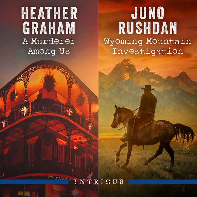 Cover image for A Murderer Among Us/Wyoming Mountain Investigation, isbn: 9781038922335