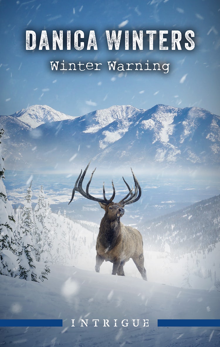 Cover image for Winter Warning, isbn: 9781038923059