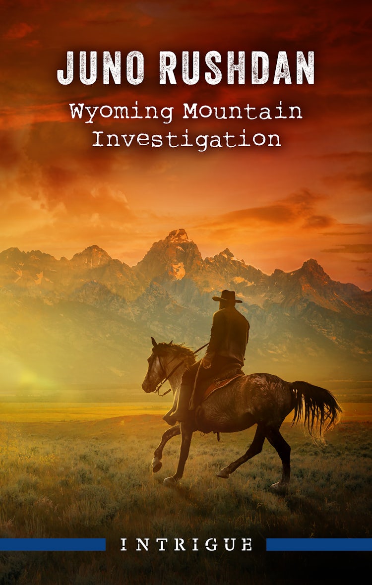 Cover image for Wyoming Mountain Investigation, isbn: 9781038923066