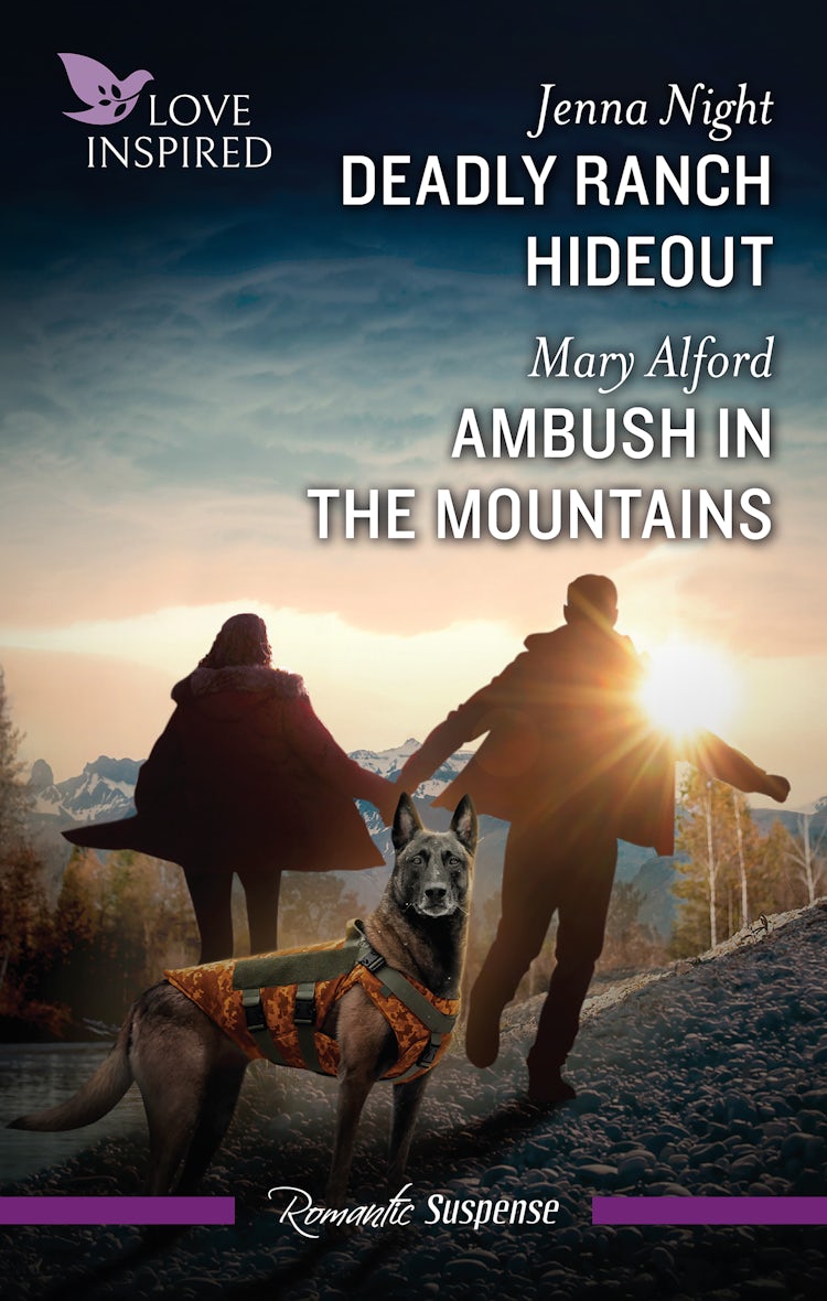 Cover image for Deadly Ranch Hideout/Ambush In The Mountains, isbn: 9781038923219