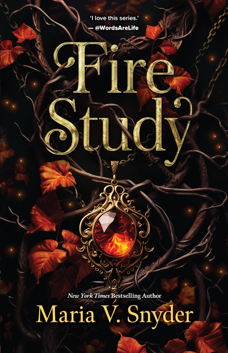 Cover image for Fire Study, isbn: 9781038933577