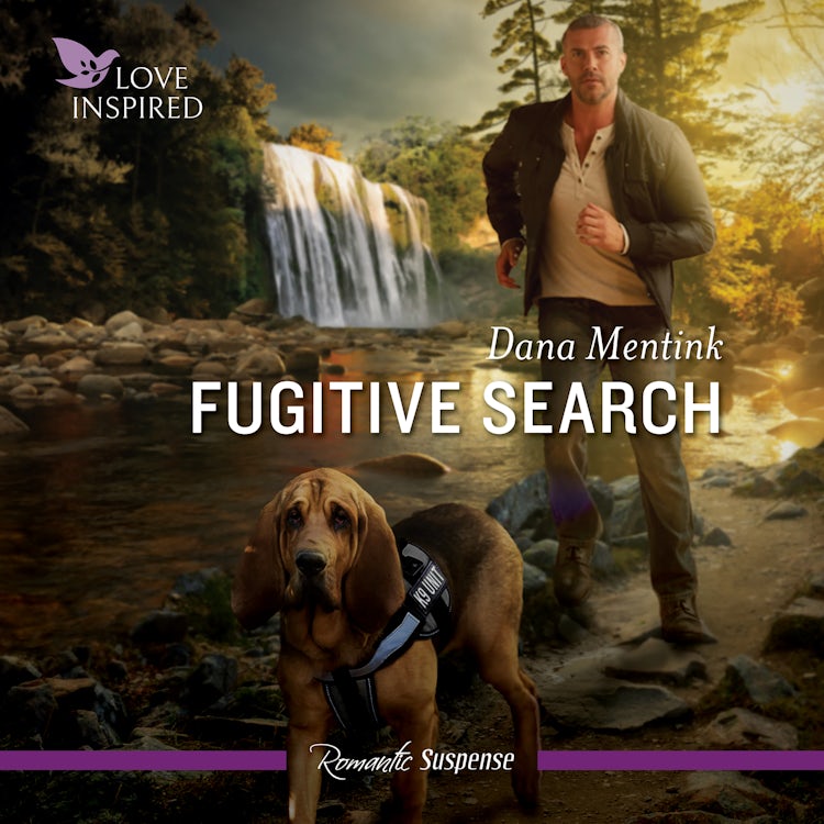 Cover image for Fugitive Search, isbn: 9781038934130