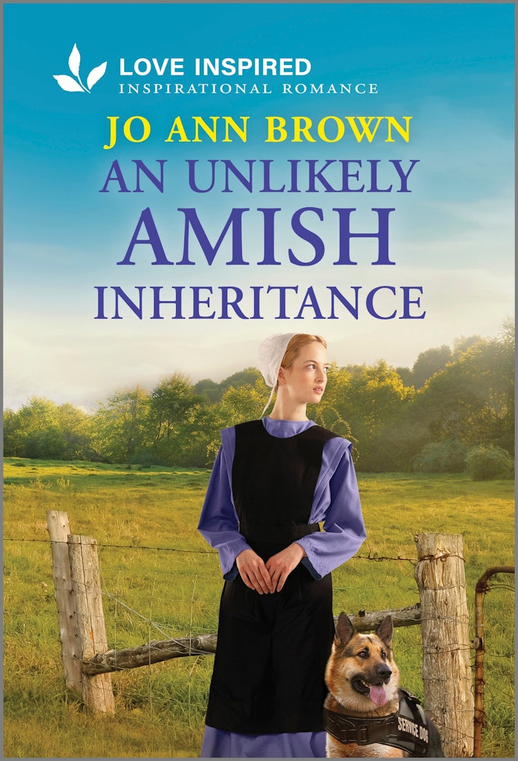 Cover image for An Unlikely Amish Inheritance, isbn: 9781038934253