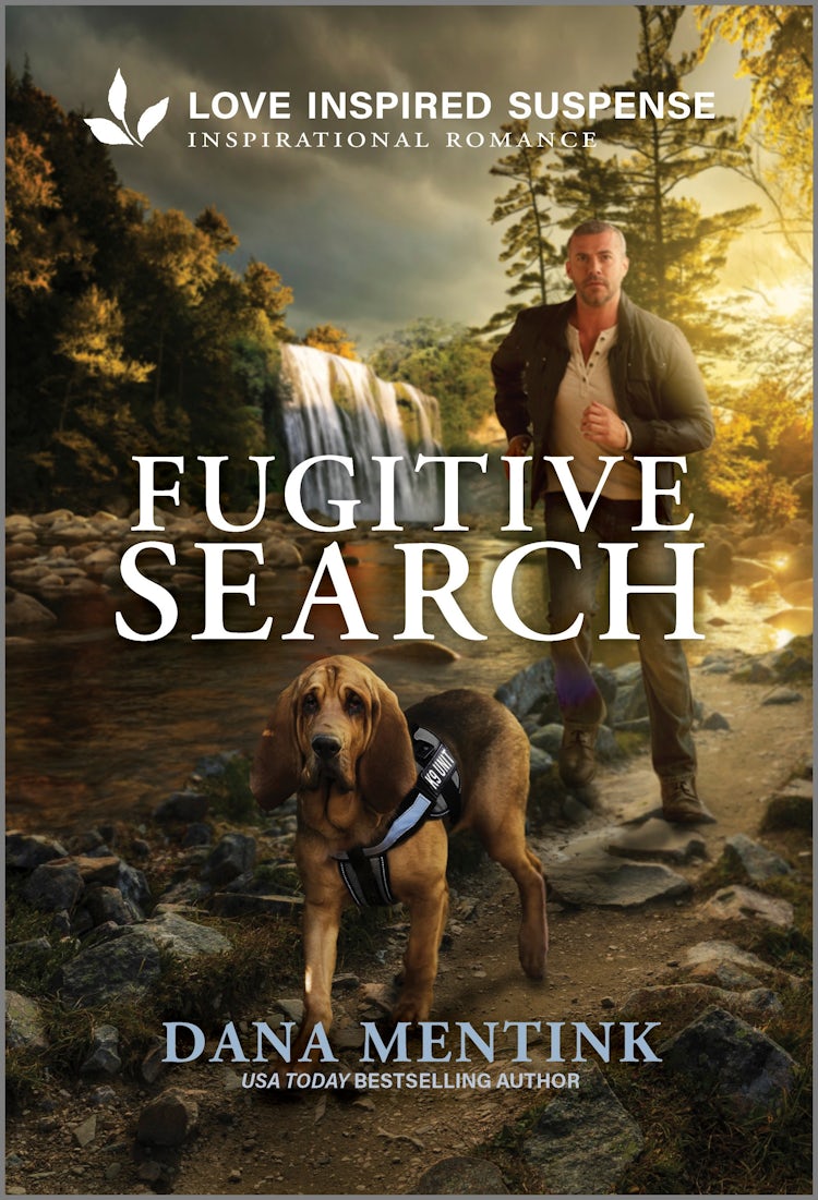 Cover image for Fugitive Search, isbn: 9781038934345