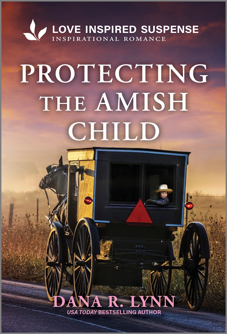 Cover image for Protecting the Amish Child, isbn: 9781038934352