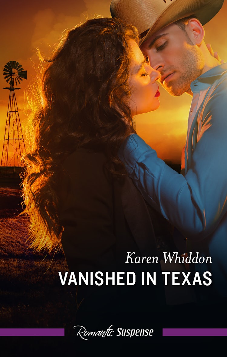 Cover image for Vanished In Texas, isbn: 9781038936486