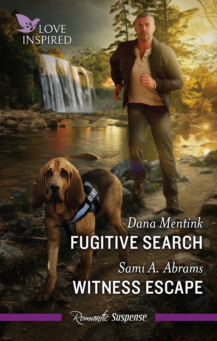 Cover image for Fugitive Search/Witness Escape, isbn: 9781038936523