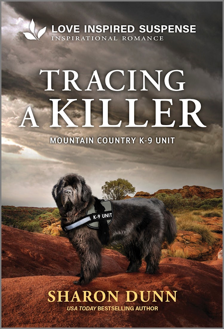 Cover image for Tracing A Killer, isbn: 9781038937476