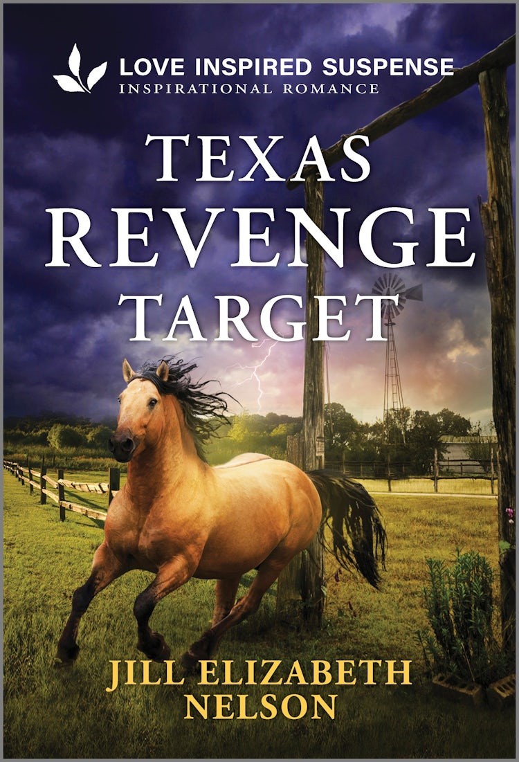 Cover image for Texas Revenge Target, isbn: 9781038937506