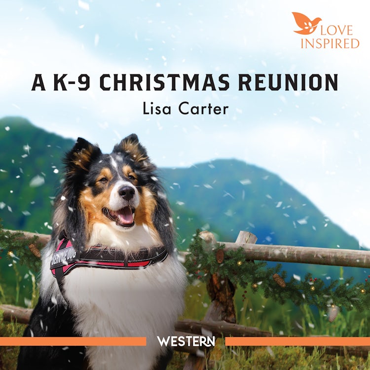 Cover image for A K-9 Christmas Reunion, isbn: 9781038938374