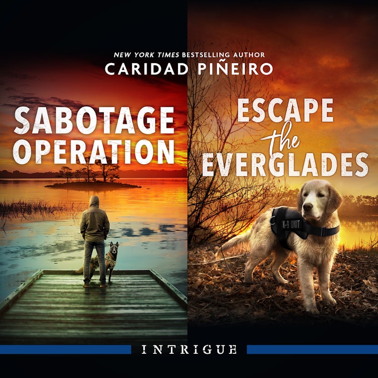 Cover image for Sabotage Operation/Escape The Everglades, isbn: 9781038938381
