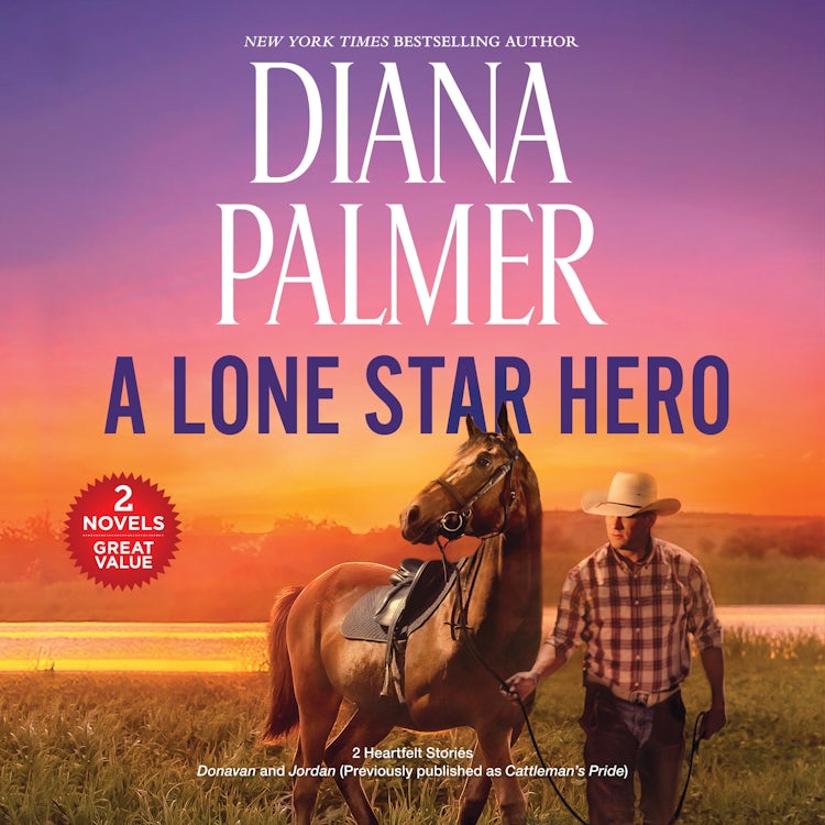 Cover image for A Lone Star Hero, isbn: 9781038938435